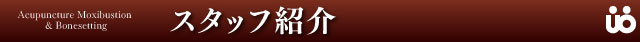 スタッフ紹介